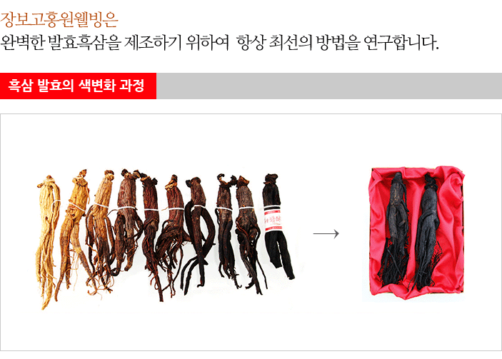 완벽을 위한 열정! 장보고홍원웰빙~