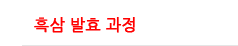 홍삼 발효 과정