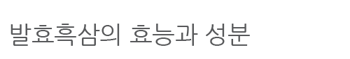 발효홍삼의 효능과 성분