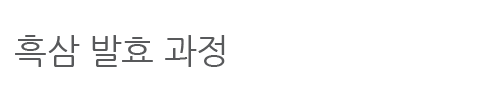 홍삼 발효 과정