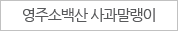 영주소백산 사과말랭이