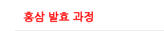 홍삼 발효 과정